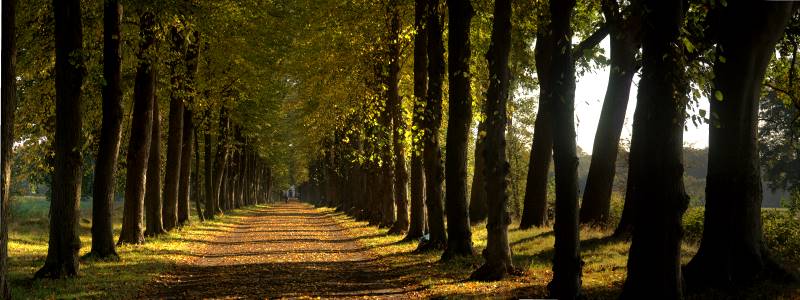 2007-10-02 Evenburgpark Allee 06-10 S.jpg